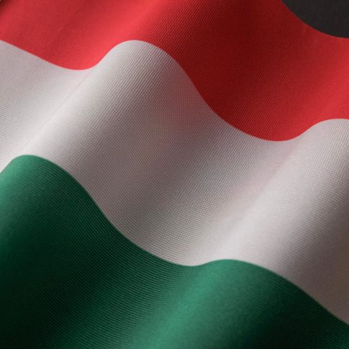 Ungarische Staatsbürgerschaft beantragen